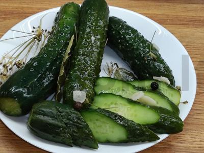 Traškūs sūdyti agurkai pagrindine nuotrauka