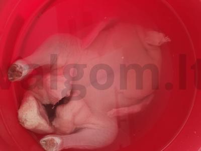 Antis orkaitėje su džiovintais abrikosais ir čili kečupu Žingsnis 1