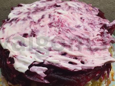 Silkė po šubomis „Naujųjų metų“ pagrindine nuotrauka