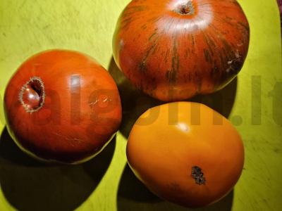 Namų stiliaus pipirų ir pomidorų lečo Žingsnis 1