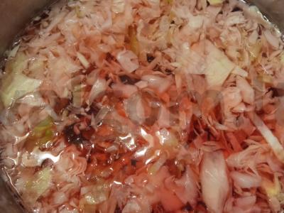 Sotūs daržovių borštas su citrinos rūgštimi Žingsnis 6