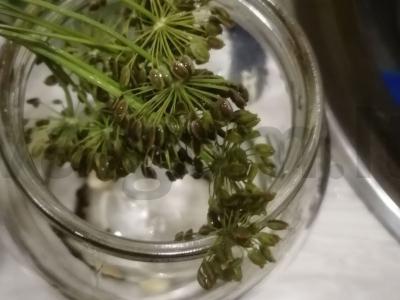 Marinuoti agurkai „Saldūs“ Žingsnis 2