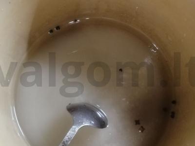 Marinuoti agurkai „Saldūs“ Žingsnis 8