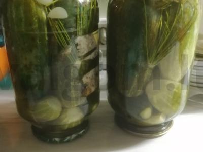 Marinuoti agurkai „Saldūs“ Žingsnis 10