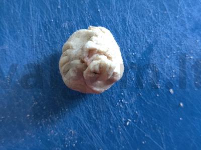 Namų khinkali su faršu ir figomis Žingsnis 9