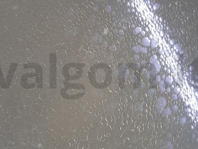 Upėtakio sriuba Žingsnis 4