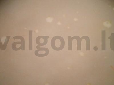 Plovas su mėsa ir šalotų svogūnais Žingsnis 3