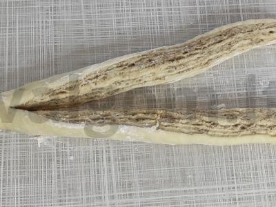 Šventinis kulichas su riešutų įdaru Žingsnis 4