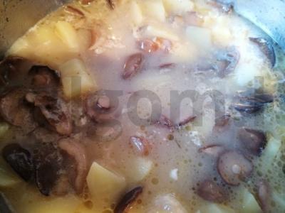 Sviestinių grybų sriuba pagrindine nuotrauka