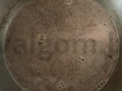 Šokoladinis gėrimas su pienu ir kukurūzų krakmolu Žingsnis 3