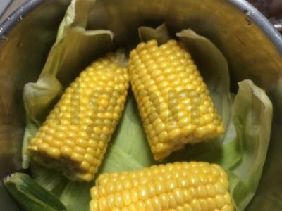 Kukurūza „Bondyuel“ Žingsnis 1