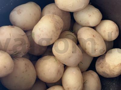 Jauni bulvės su krapais Žingsnis 1