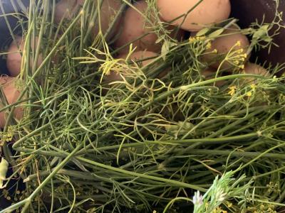 Jauni bulvės su krapais Žingsnis 2