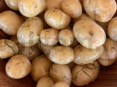 Jauni bulvės su krapais pagrindine nuotrauka