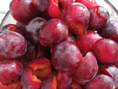 Namų tkemali Žingsnis 1