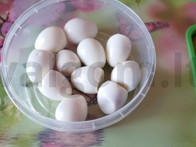 Tailandietiški putpelių kiaušiniai Žingsnis 2