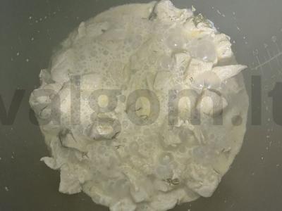 Soba su vištiena Žingsnis 3