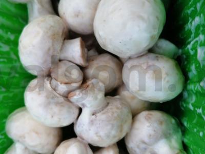 Sultingas šašlykas iš šampinjonų su majonezu Žingsnis 2