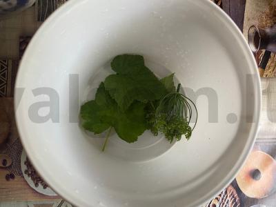 Sūdyti agurkai juodųjų serbentų lapuose Žingsnis 6