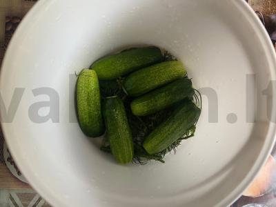 Sūdyti agurkai juodųjų serbentų lapuose Žingsnis 7
