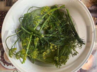 Sūdyti agurkai juodųjų serbentų lapuose Žingsnis 10