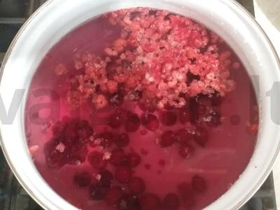 Vitaminų kompotas su avietėmis, vyšniomis ir šermukšnio uogomis Žingsnis 1