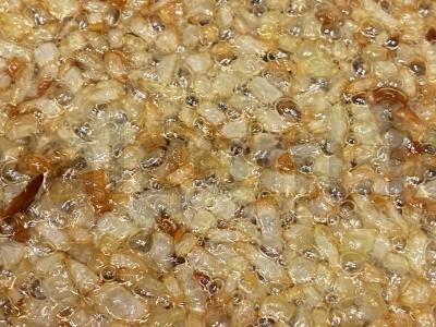 Tatar Borakai Žingsnis 3