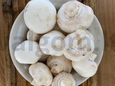 Orkaitėje kepti grybai, įdaryti sūriu Žingsnis 1