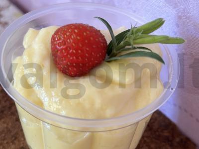 Kremas panna-kotta naminis kvapnus pagrindine nuotrauka