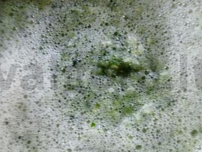 Agurkai savo sultyse Žingsnis 1