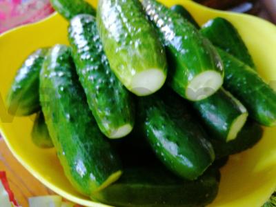 Agurkai savo sultyse pagrindine nuotrauka