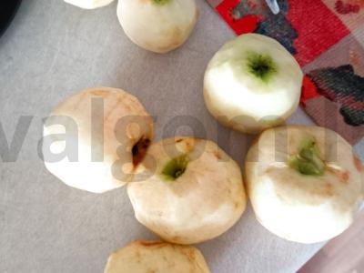 PP Šarlotka Žingsnis 1