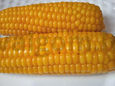 Kukurūza su mocarela, jalapeño ir keptu rūkytu bekonu Žingsnis 1