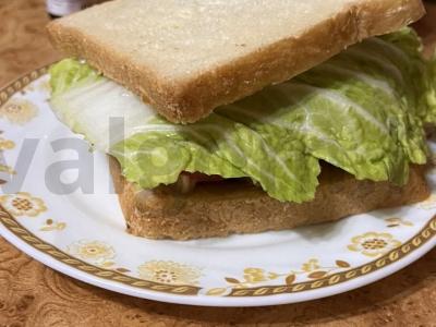 Sumuštinis su vištiena, daržovėmis ir pekino kopūstu pagrindine nuotrauka