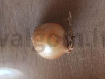 Vištienos ir morkų sriuba su makaronais Žingsnis 2