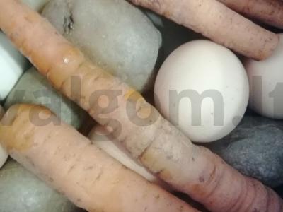 Salotas „Švelnus“ su vištienos kepenėlėmis Žingsnis 1