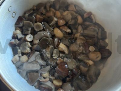 Kepti voveraitės su svogūnais Žingsnis 2