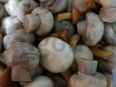 Salotos su grybais ir vištienos krūtinėle Žingsnis 4