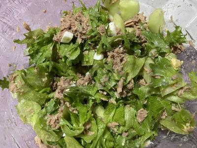 Salotos su tunu ir frilės salotomis pagrindine nuotrauka