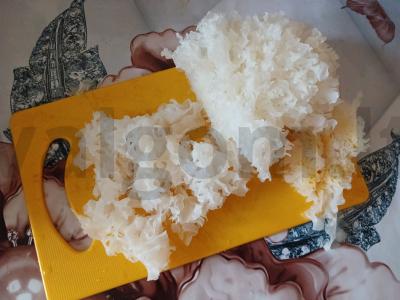 Koralo grybo salotas su jūros kopūstais Žingsnis 2