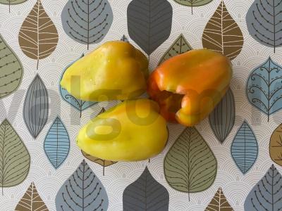 Įdaryti paprikos Žingsnis 9