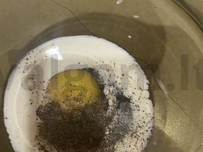 Kruasanas su omletu ir tunu Žingsnis 2