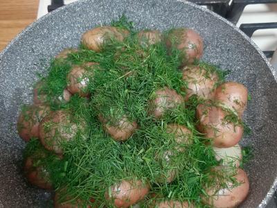 Jaunas bulvės kaimiškai Žingsnis 5