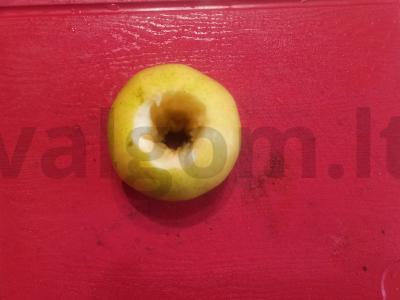 Obuolių žiedai su įdaru Žingsnis 1