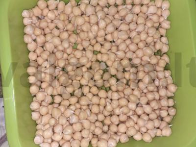 Pekino kopūstų, agurkų ir daiginto avinžirnio salotos Žingsnis 1