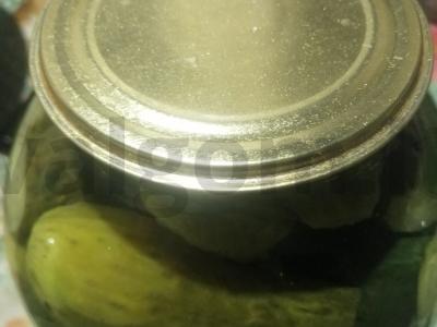 Sūdyti agurkai su česnaku ir krapais žiemai pagrindine nuotrauka