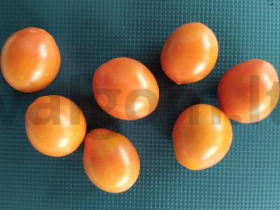 Kanarė su dešra, pomidorais ir gervuogėmis Žingsnis 4