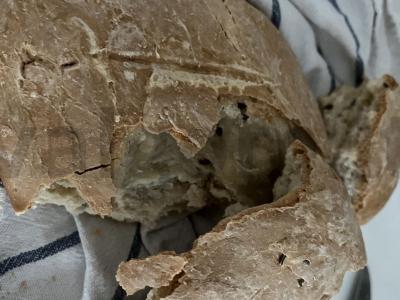 Namų duona su linų sėmenimis pagrindine nuotrauka