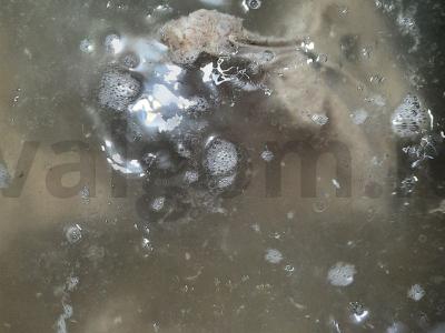 Špinatų sriuba su kiaušiniu Žingsnis 4