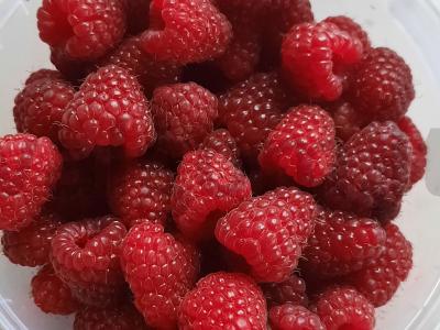 Obuolių, aviečių ir spanguolių kompotas Žingsnis 2